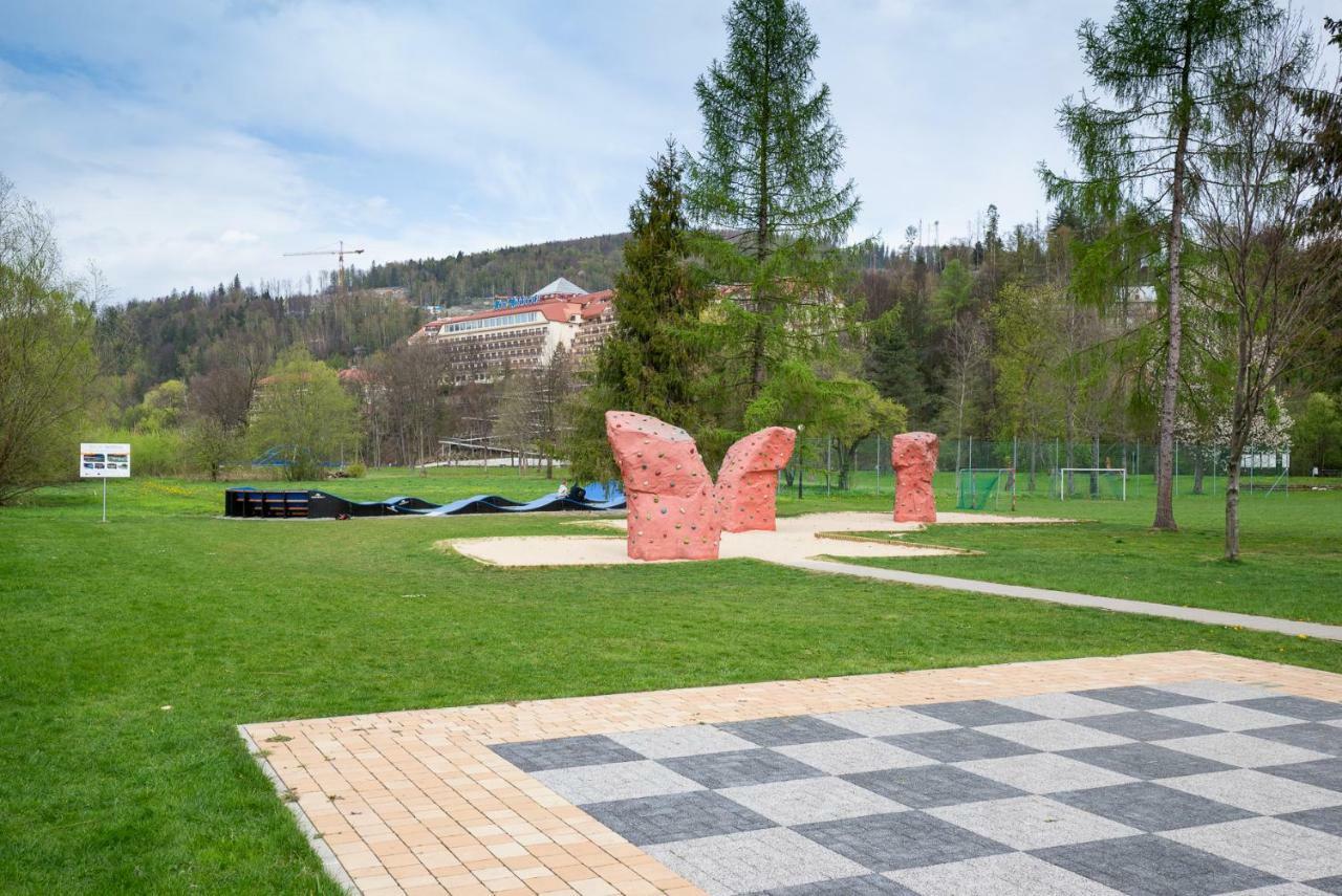 Centrum & Park Apartment Wisla
