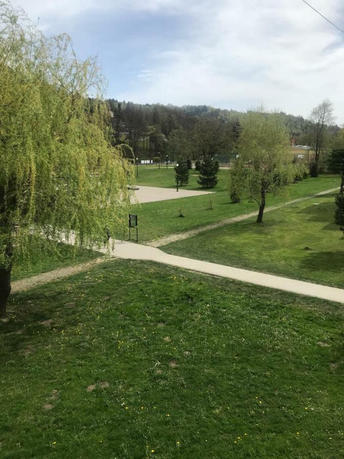 Centrum & Park Apartment Wisla